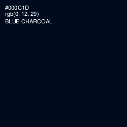 #000C1D - Blue Charcoal Color Image